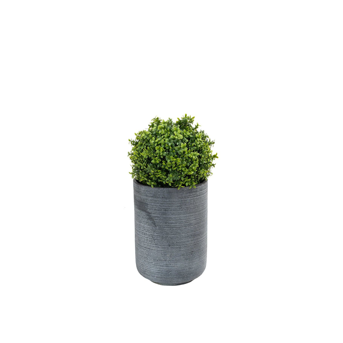 AN Buxus Ball in Alnwick Grey Pot 65cm.