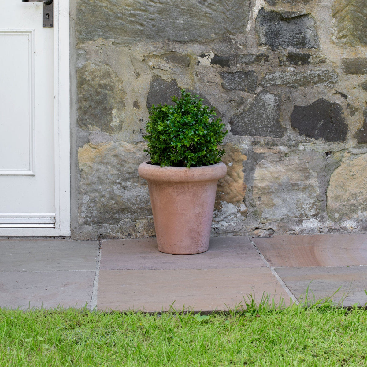AN Buxus Ball in Ravello Pot 58cm UV.