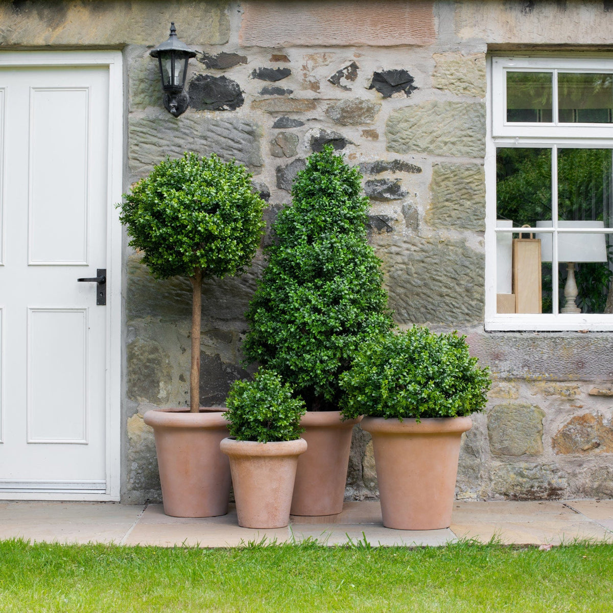 AN Buxus Ball in Ravello Pot 58cm UV.