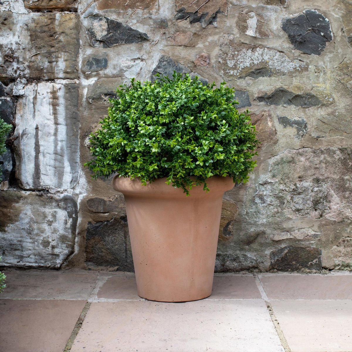 AN Buxus Ball in Ravello Pot 68cm UV.