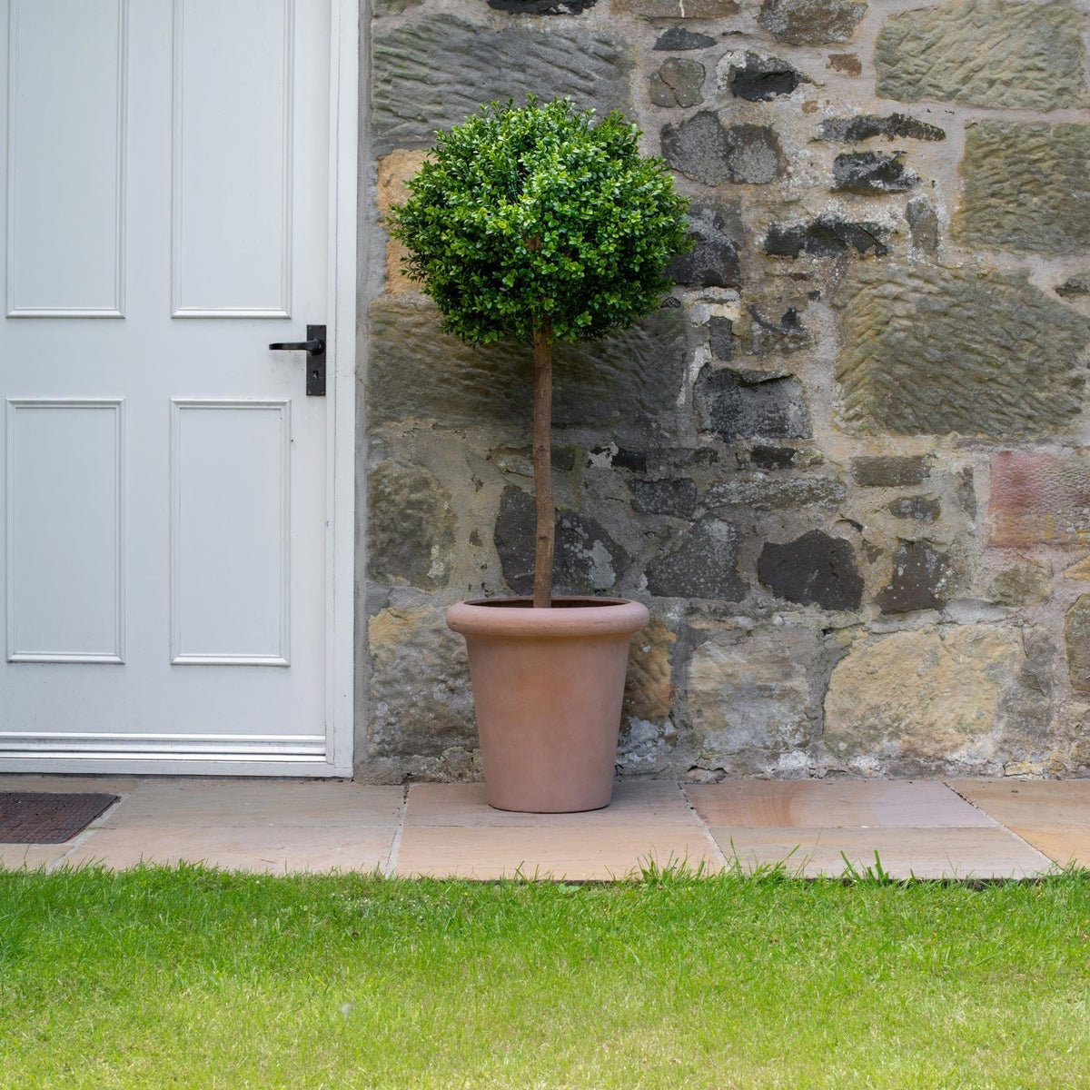 AN Buxus Ball Tree in Ravello Pot 125cm UV.