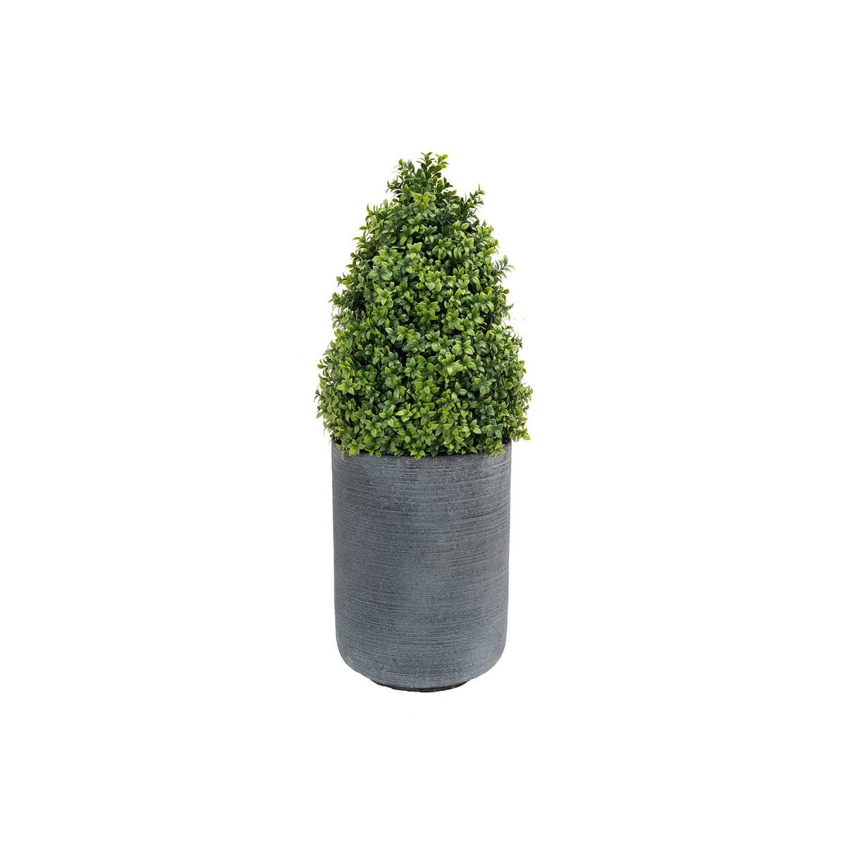 AN Buxus Tower in Alnwick Grey Pot 85cm.