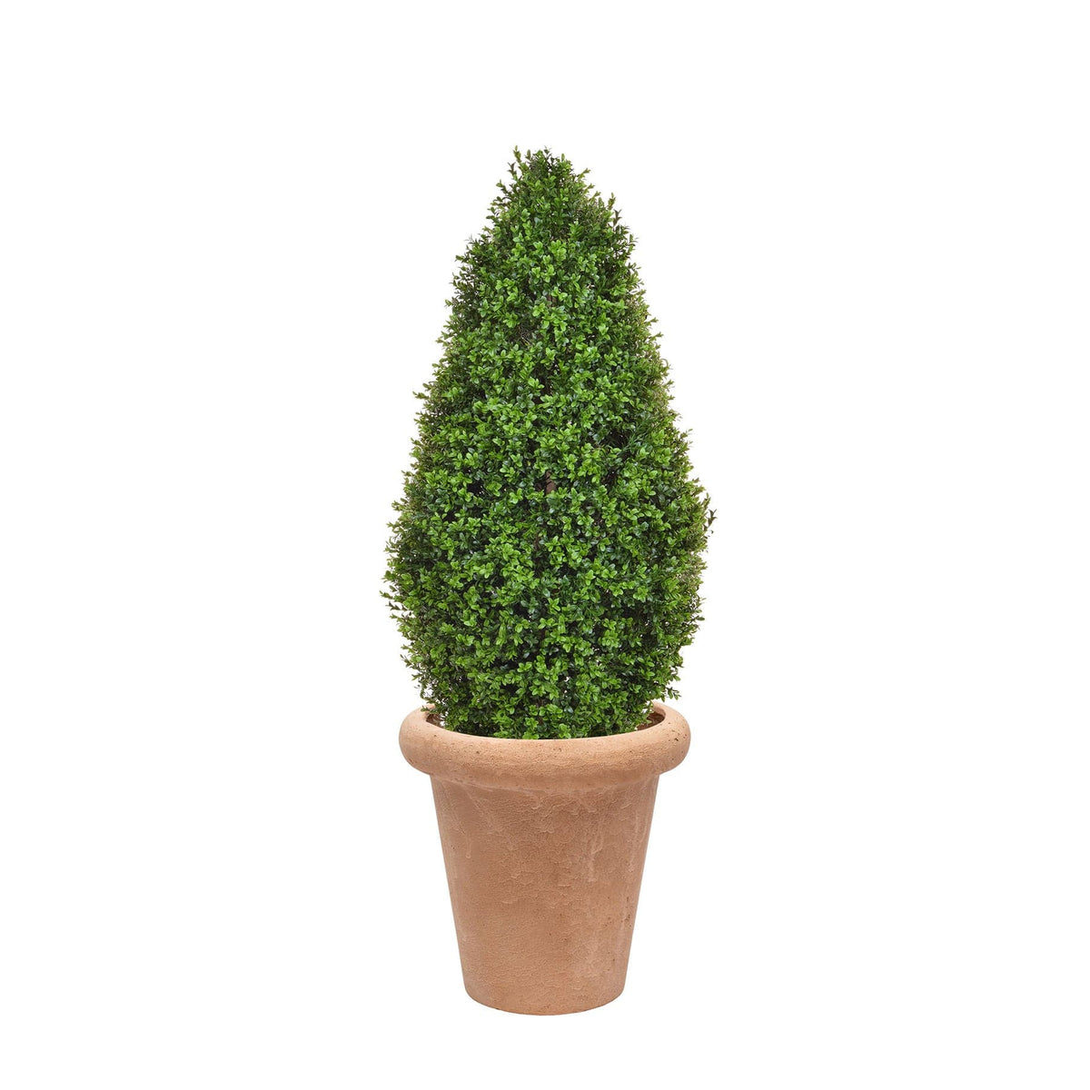 AN Buxus Tower in Ravello Terra Pot 140cm.
