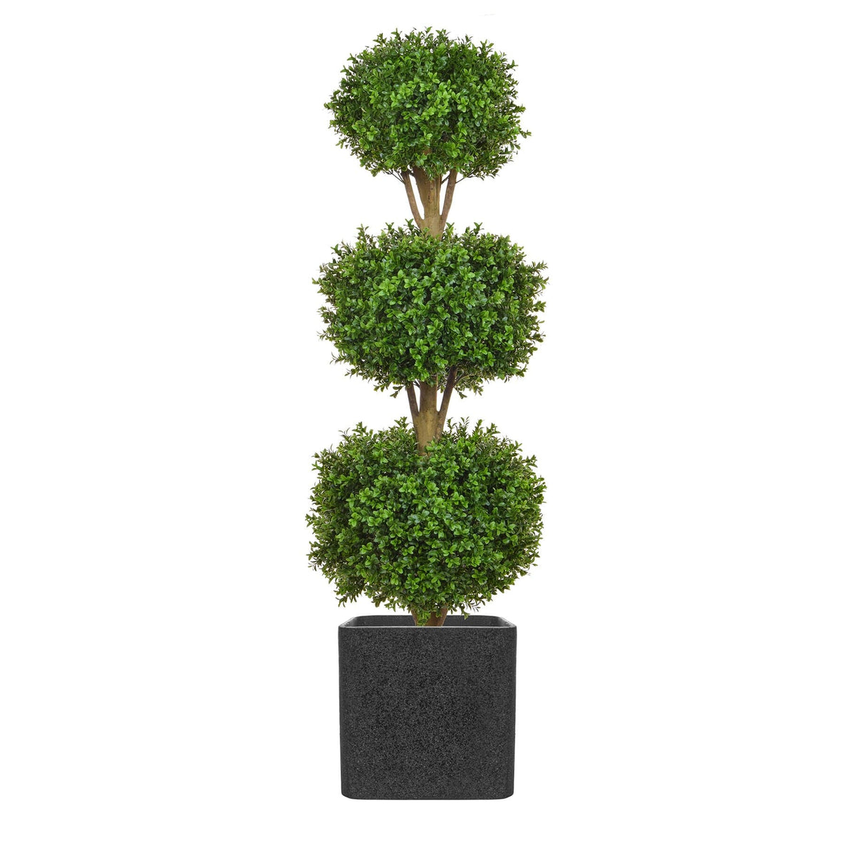 AN Buxus Triple Ball in Granito Pot 165cm UV.