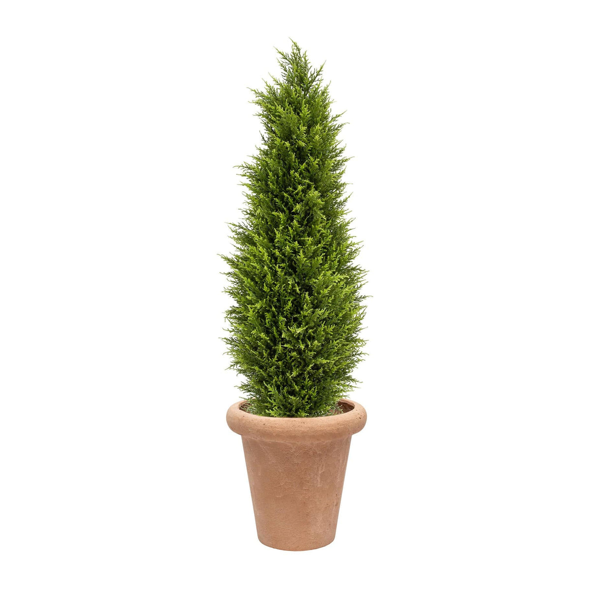 AN Cypress Tower in Ravello Terra Pot 150cm.