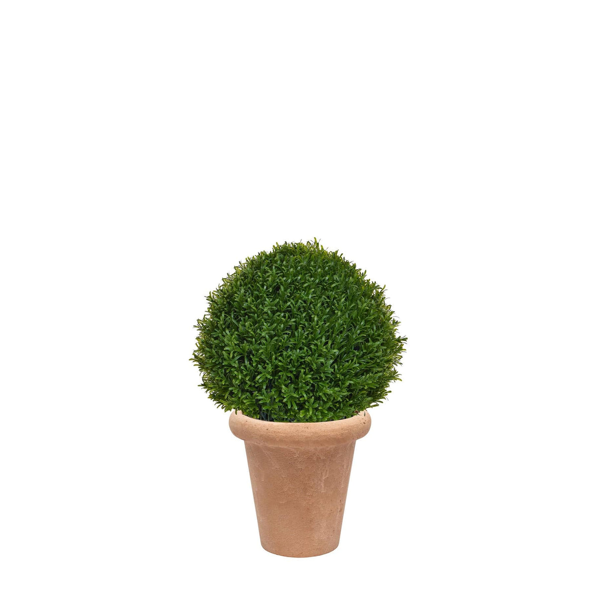 AN Rosemary Ball in Ravello Terra Pot 70cm.