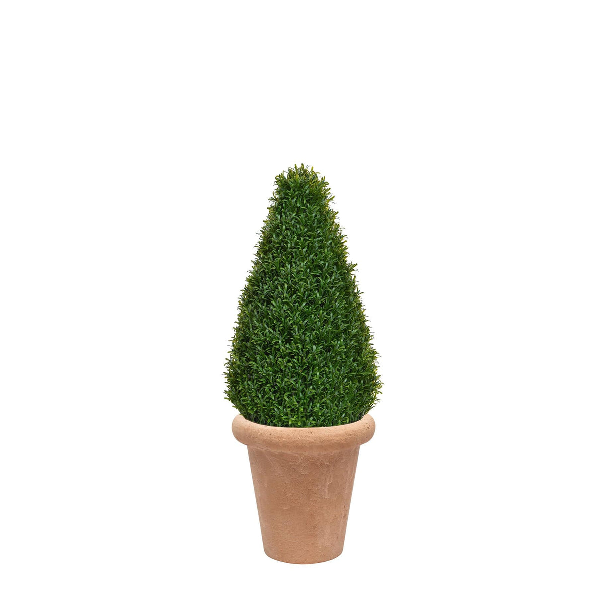 AN Rosemary Tower in Ravello Terra Pot 90cm.