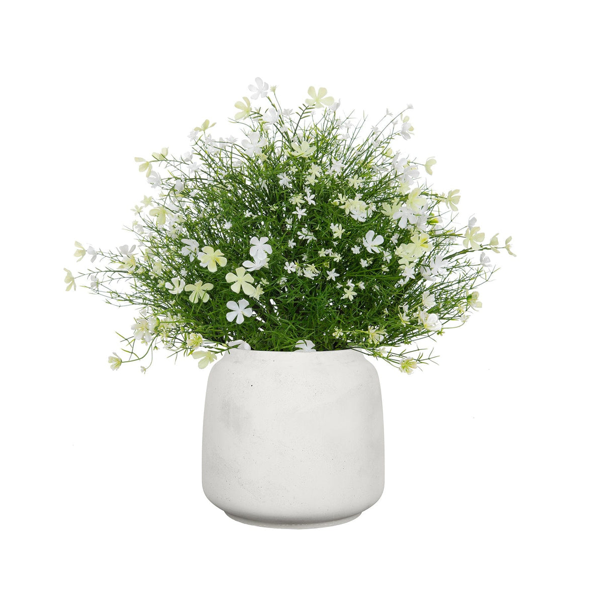 AN White Babys Breath in Cotswold 50cm UV.