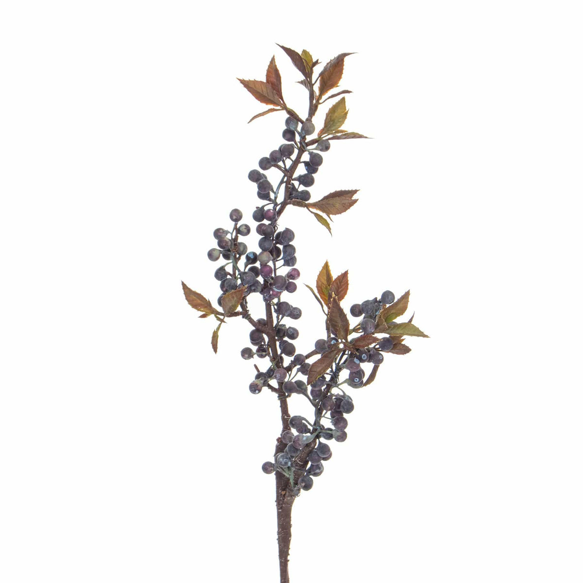 FS Berry Spray Purple GB 58cm.