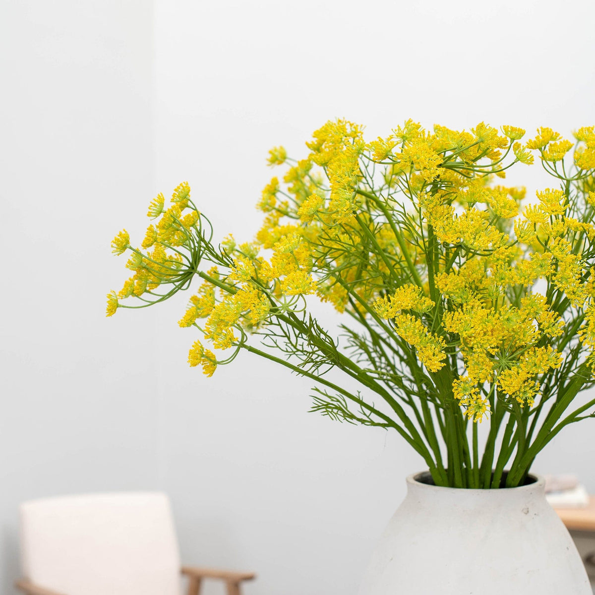 FS Dill Yellow GB 77cm.