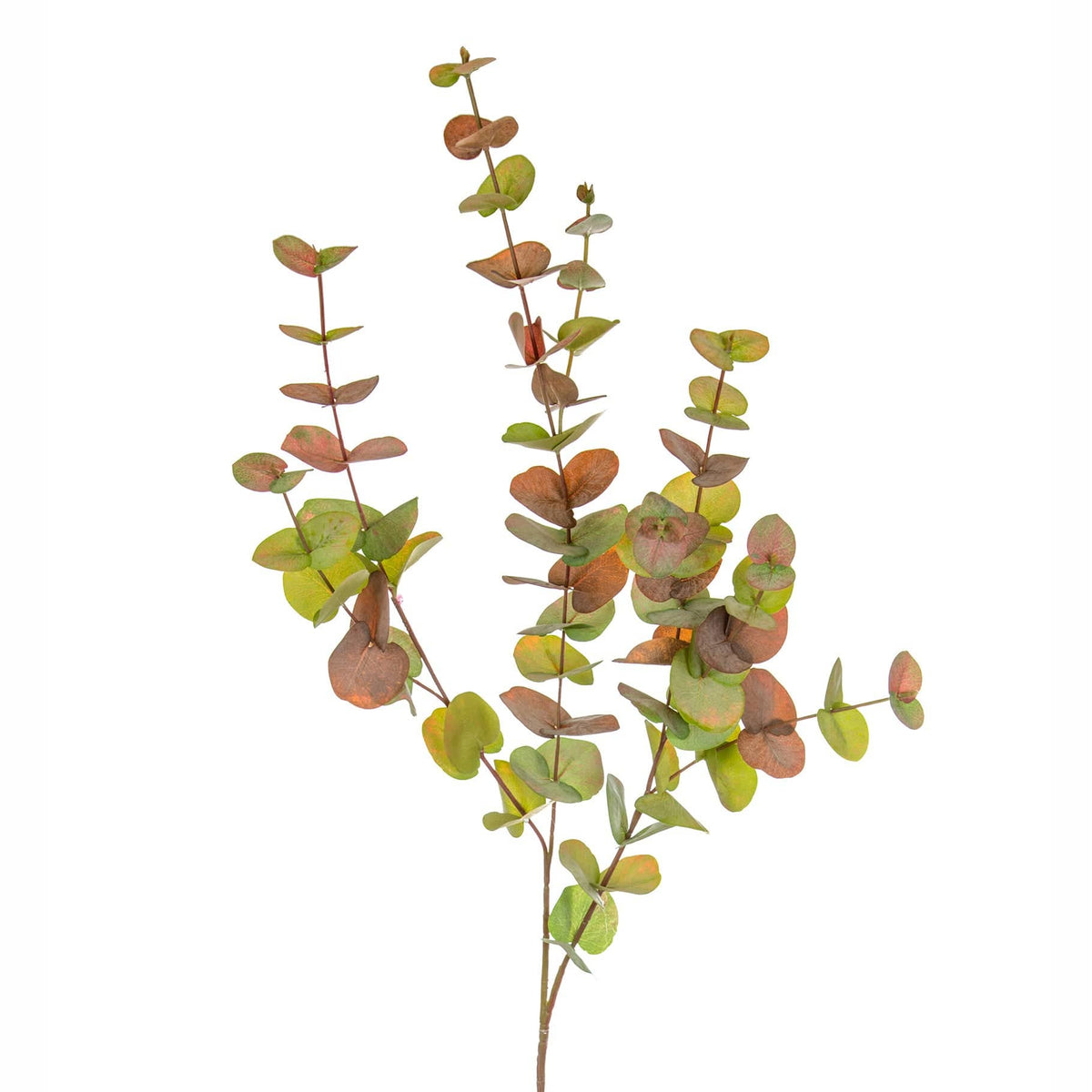 FS Eucalyptus Autumn Spray GB 100cm.