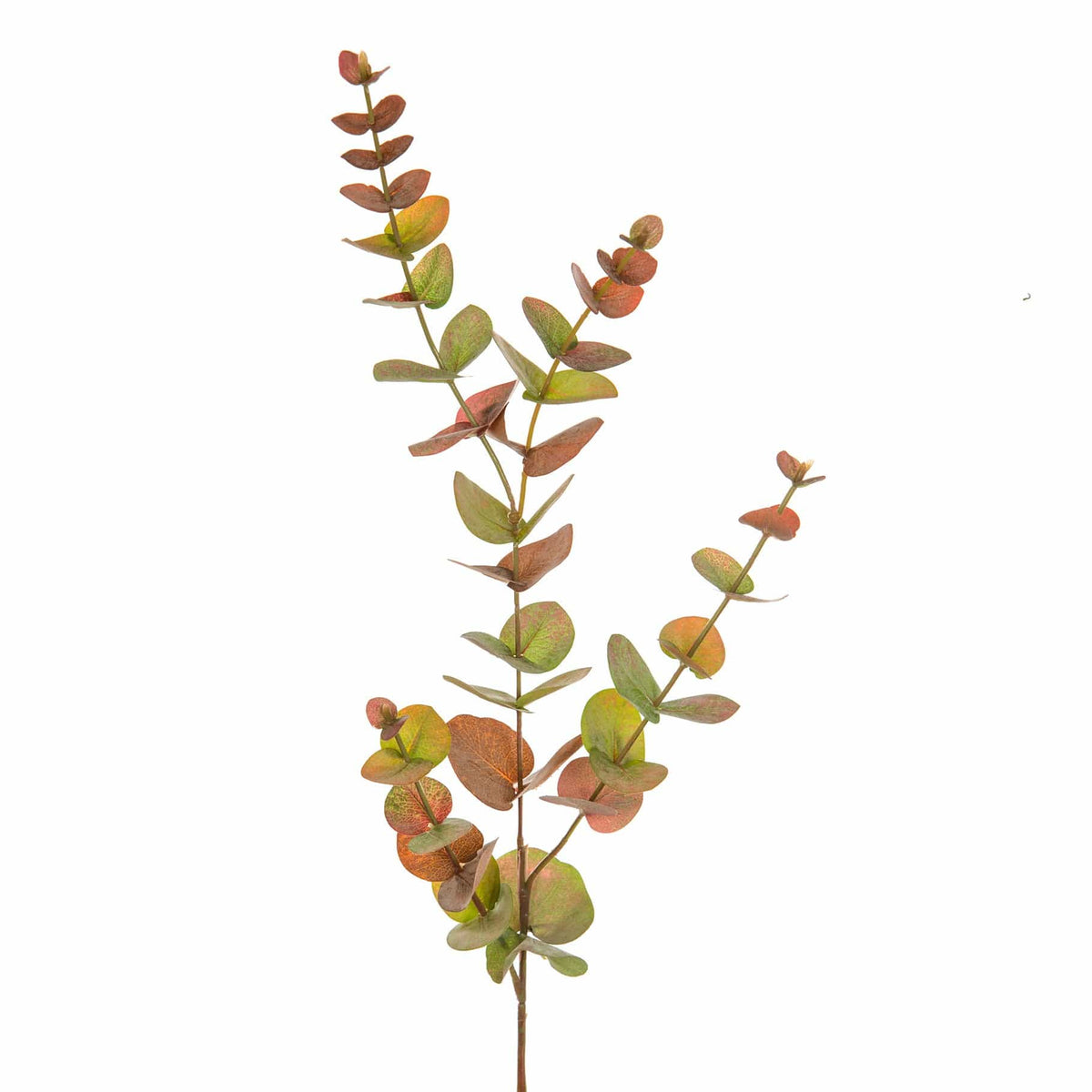 FS Eucalyptus Autumn Spray GB 80cm.