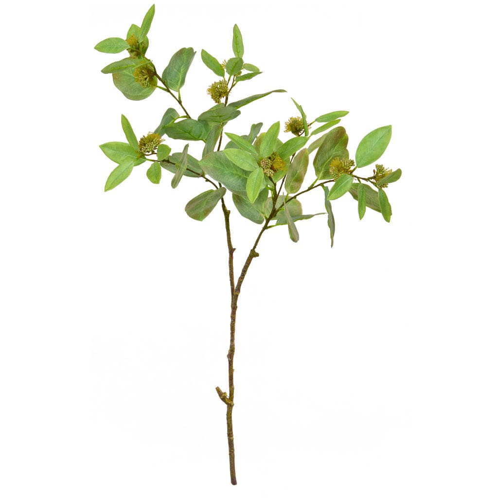 FS Eucalyptus Bud Spray GB 89cm.