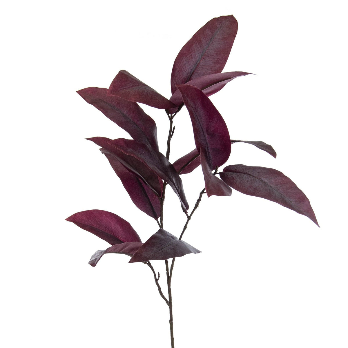 FS Eucalyptus Burgundy GB 87cm.