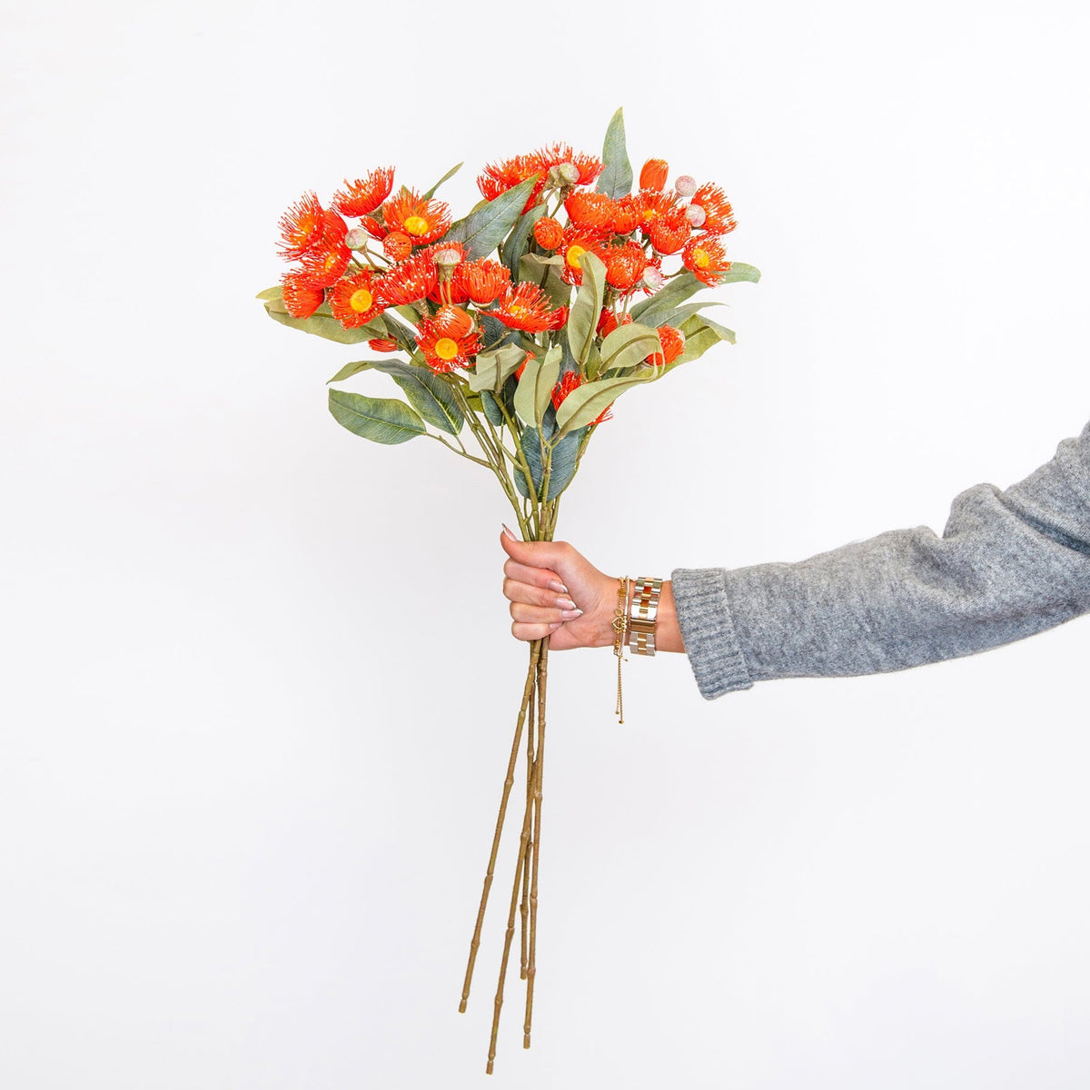 FS Eucalyptus Flowering Red GB 75cm.