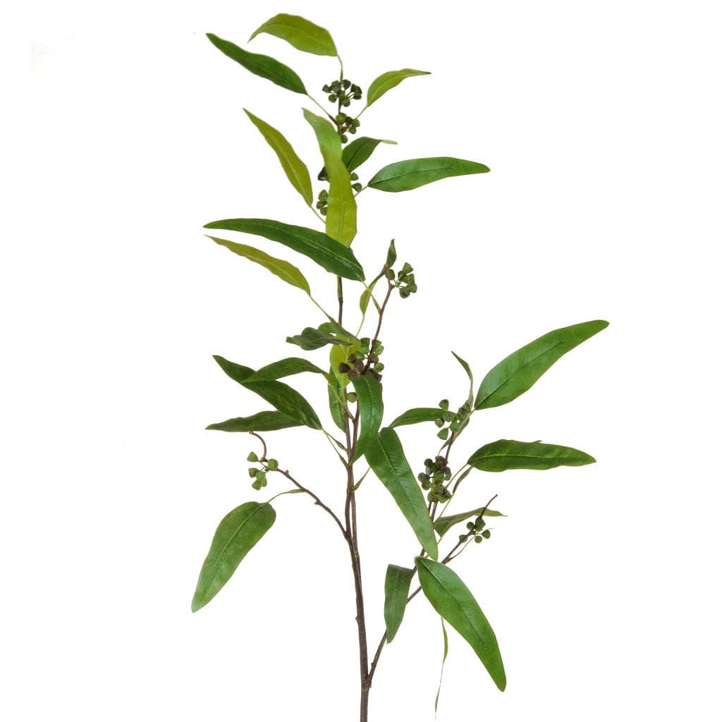 FS Eucalyptus Green 122cm.