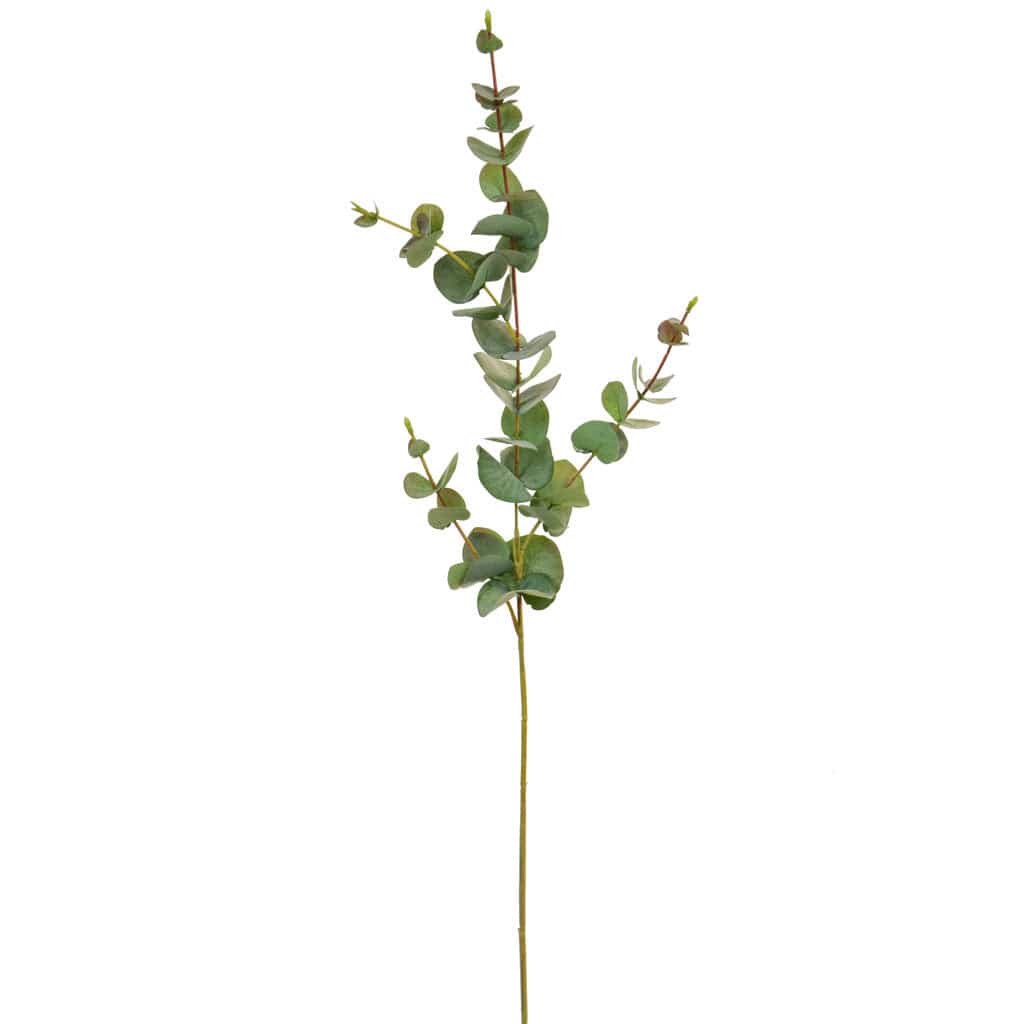 FS Eucalyptus Green GB 80cm.