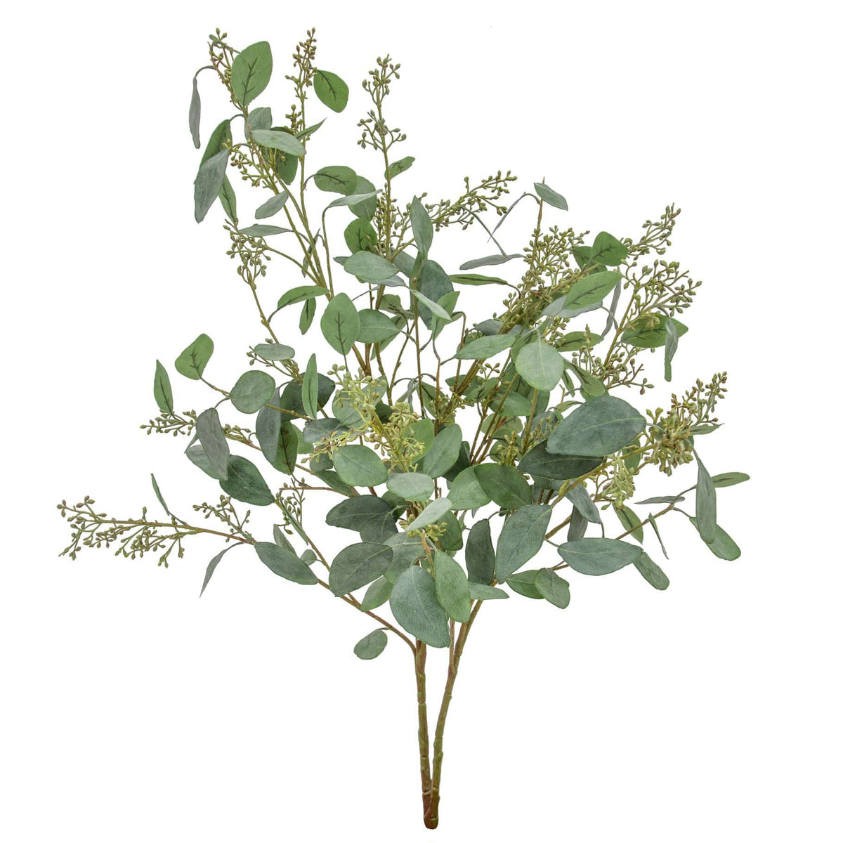 FS Eucalyptus in Seed 115cm.