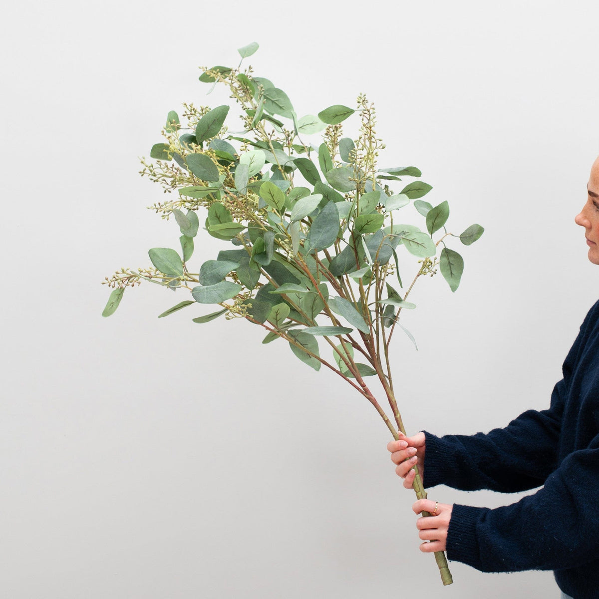 FS Eucalyptus in Seed 115cm.