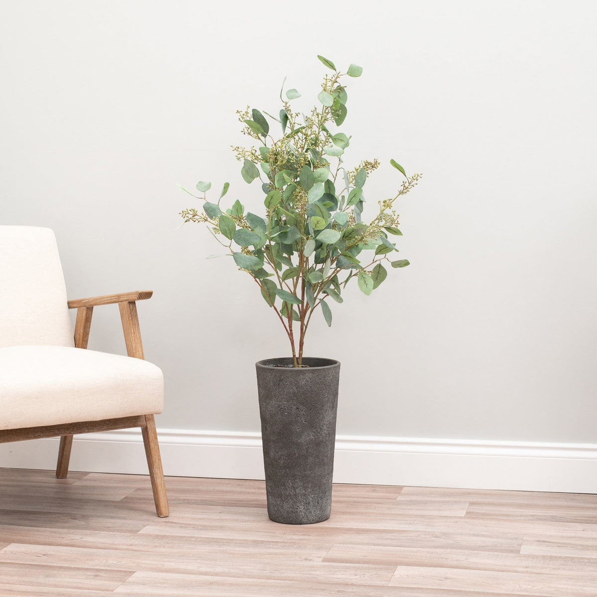 FS Eucalyptus in Seed 115cm.