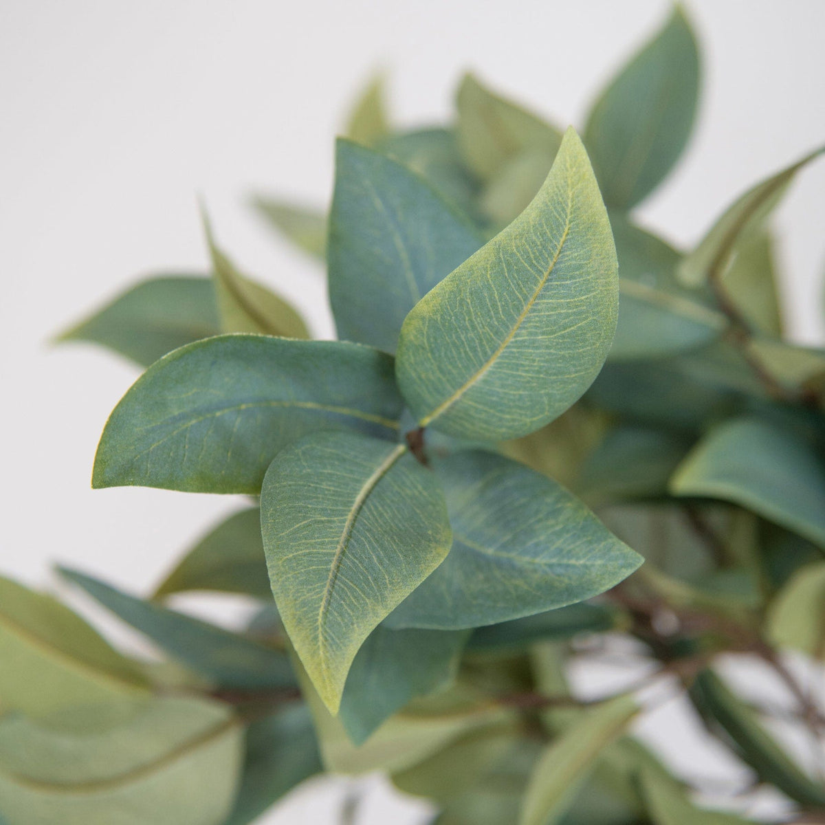 FS Eucalyptus Leaf Spray GB 80cm.