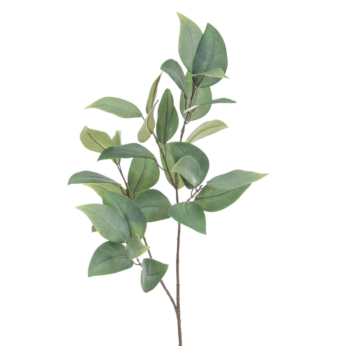 FS Eucalyptus Leaf Spray GB 80cm.