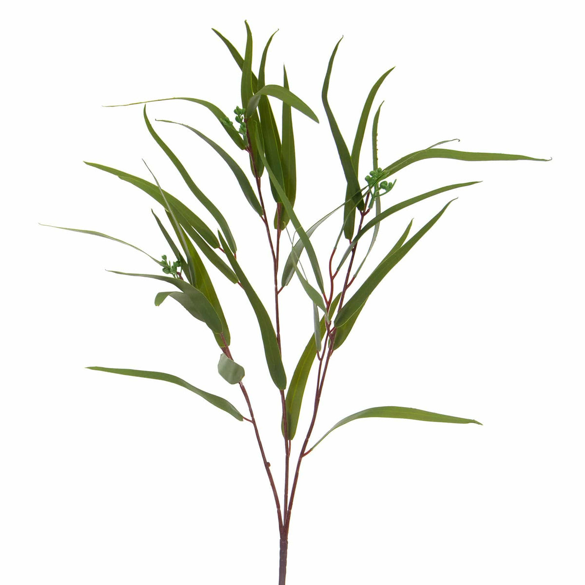 FS Eucalyptus Nicholii Spray GB 82cm.