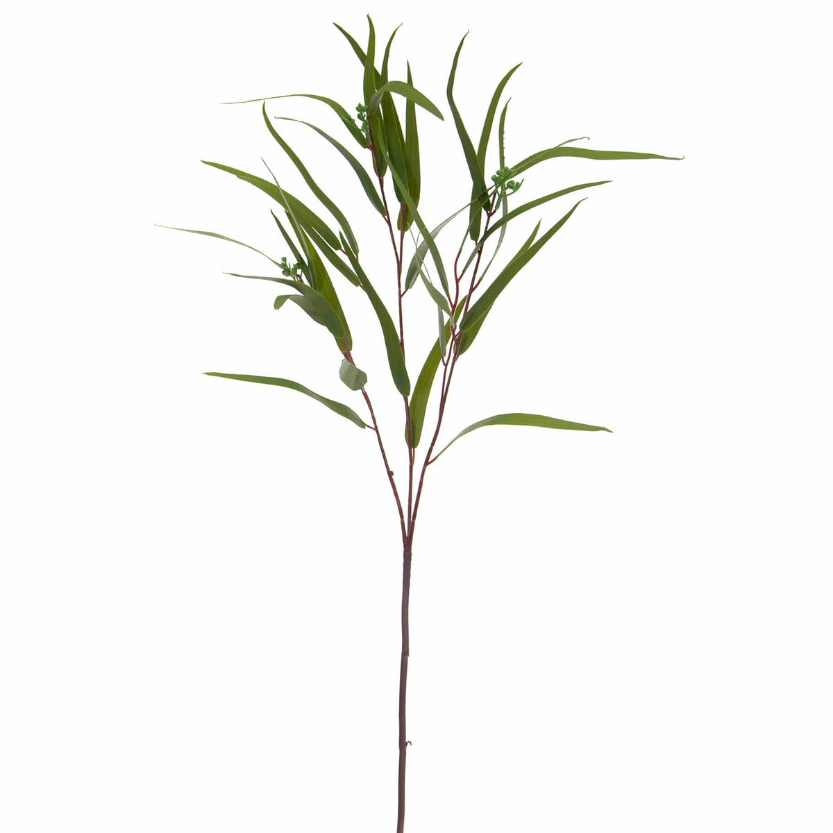 FS Eucalyptus Nicholii Spray GB 82cm.