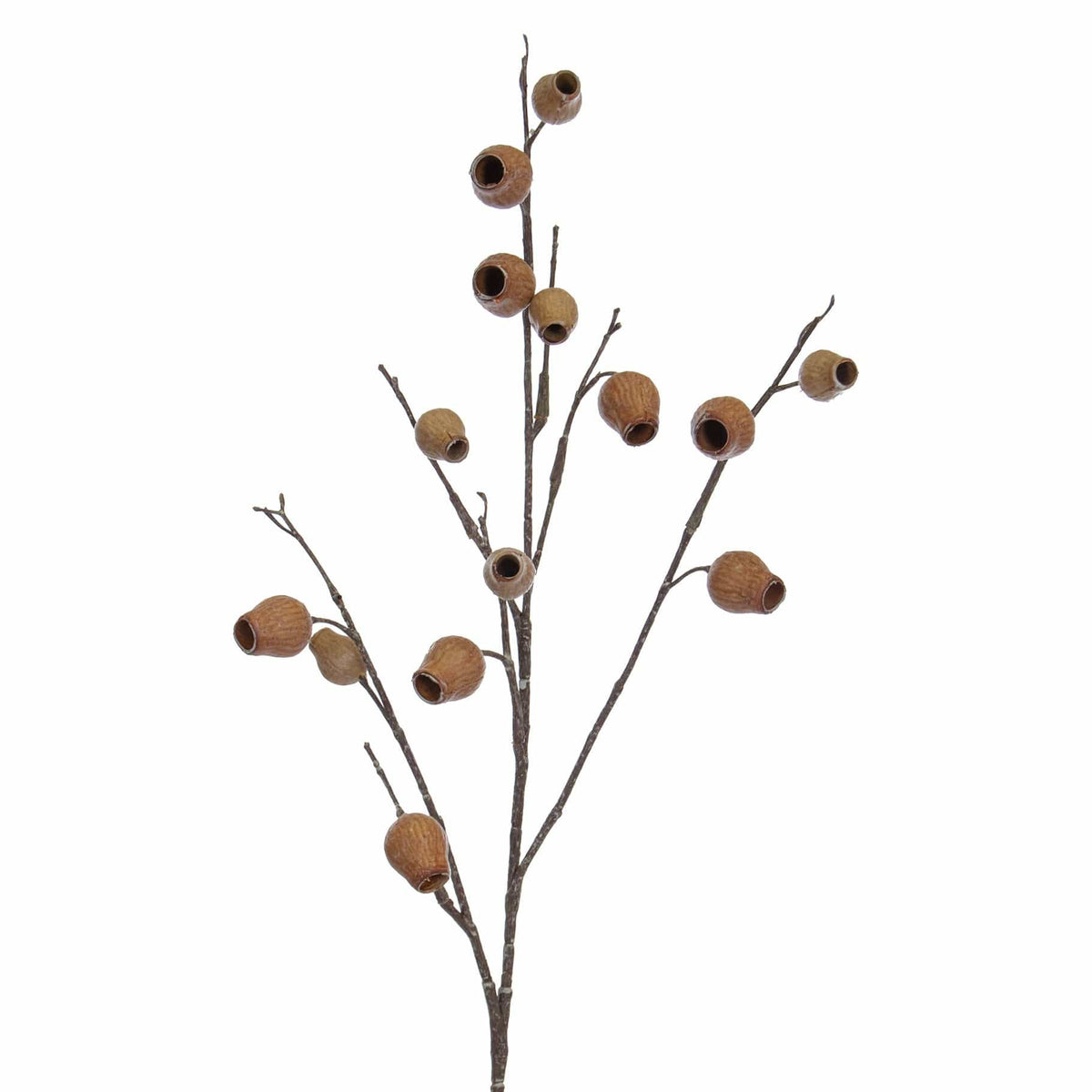FS Eucalyptus Pods Brown GB 85cm.