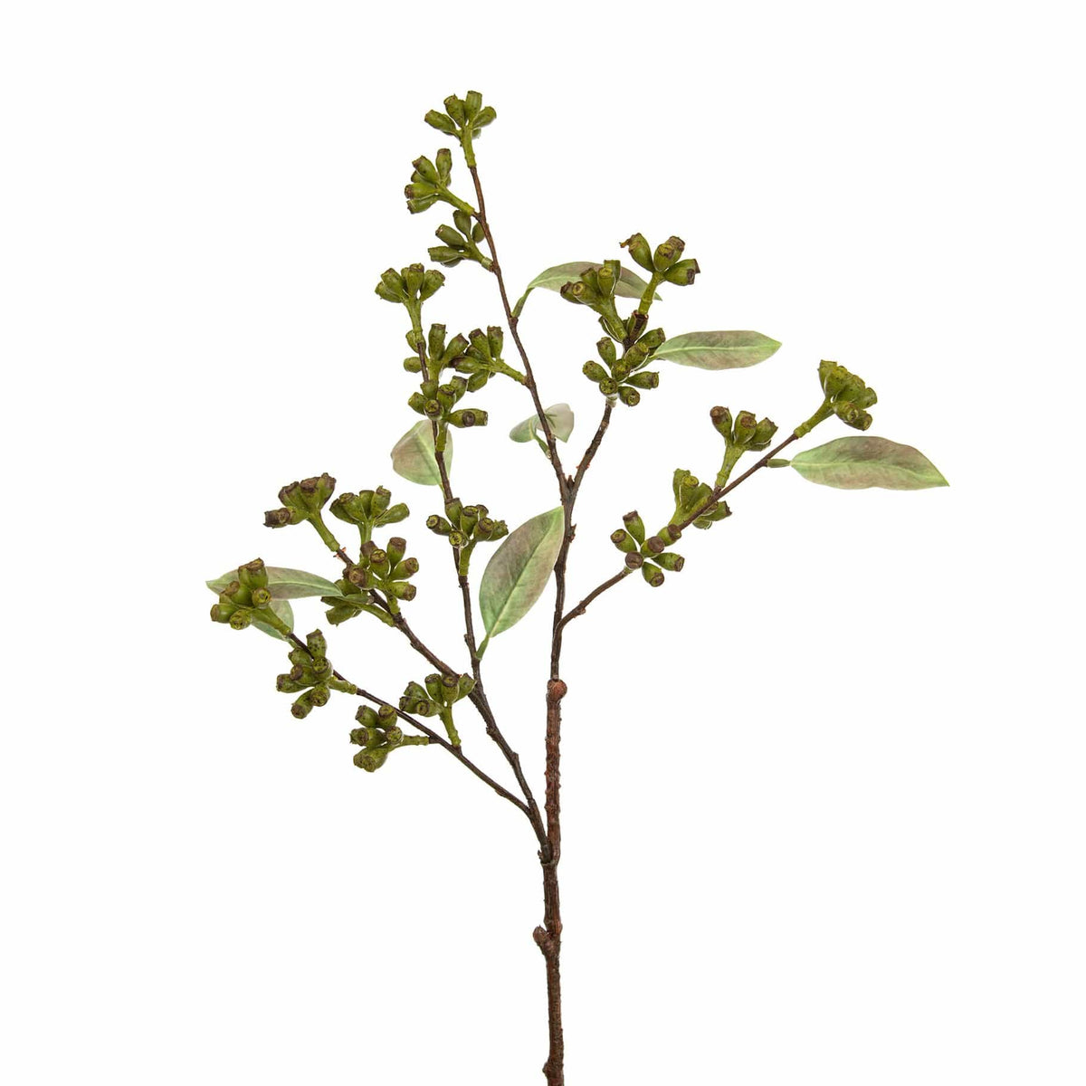 FS Eucalyptus Seed Pod Spray Green GB 82cm.