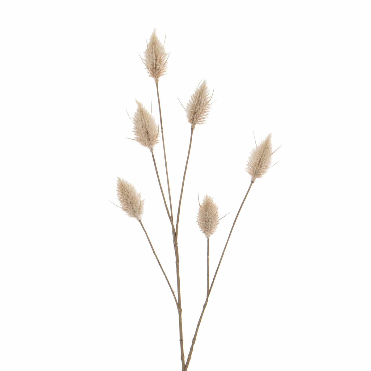 FS Hare Tail Beige GB 70cm.