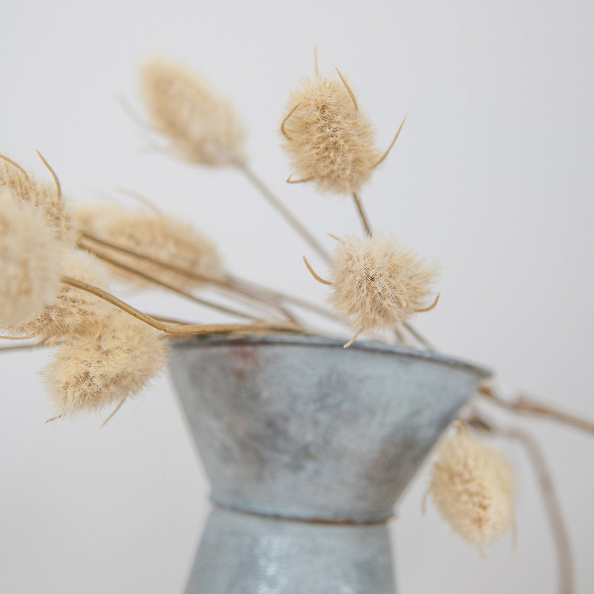 FS Hare Tail Beige GB 70cm.