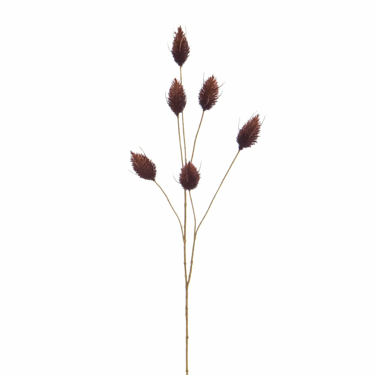 FS Hare Tail Brown GB 70cm.