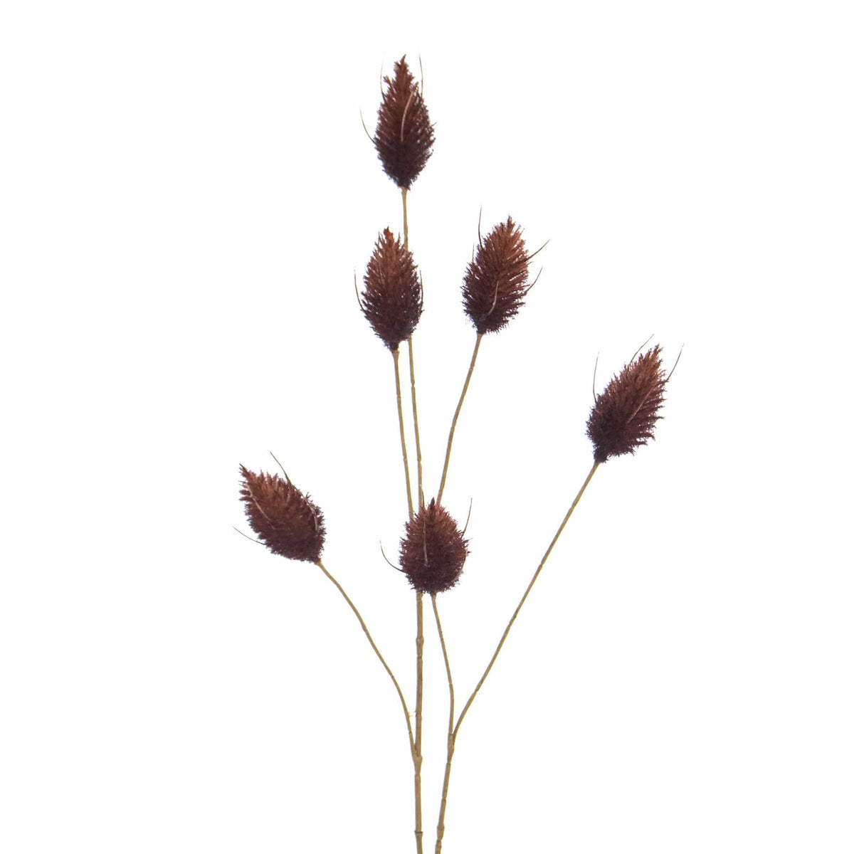 FS Hare Tail Brown GB 70cm.