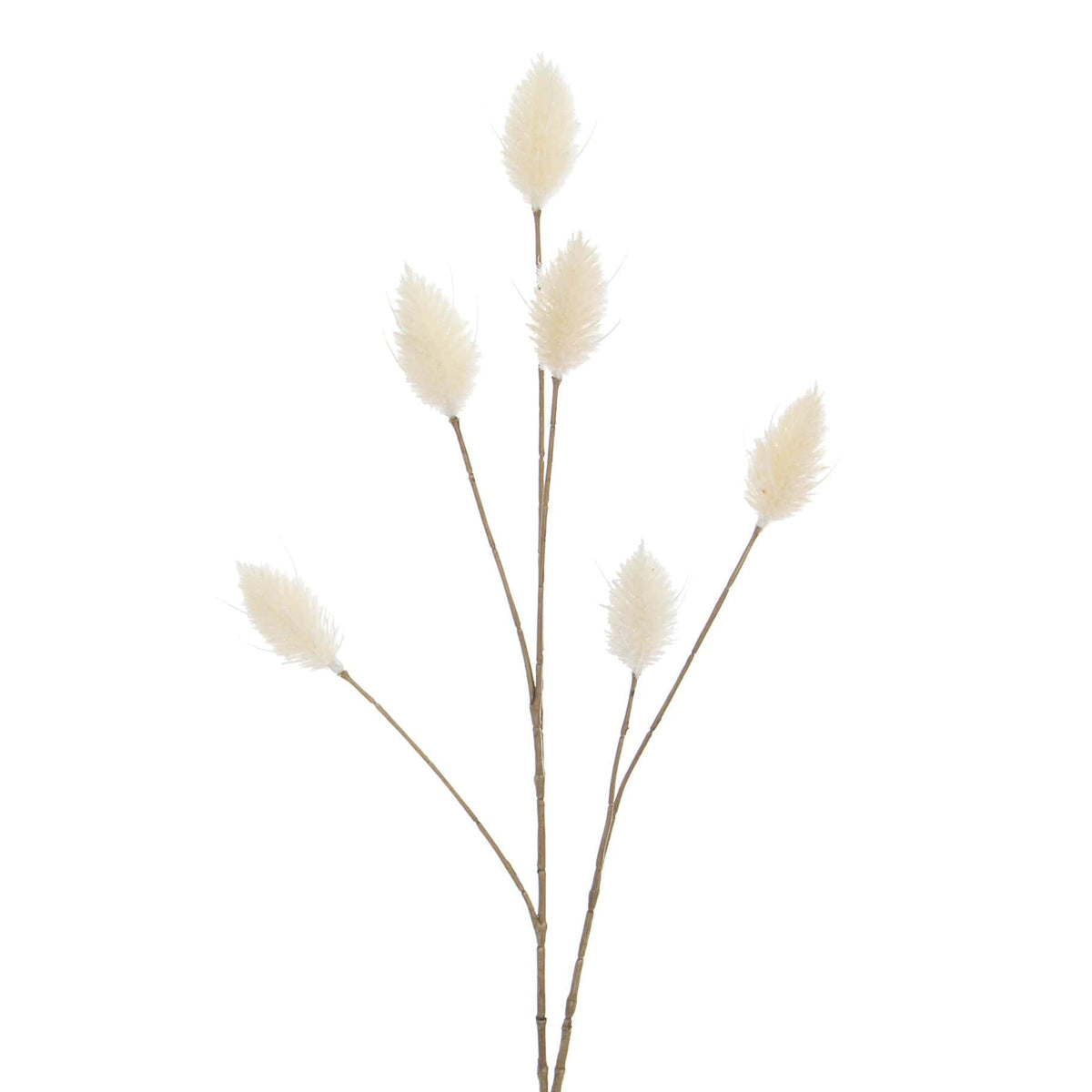 FS Hare Tail Cream GB 70cm.