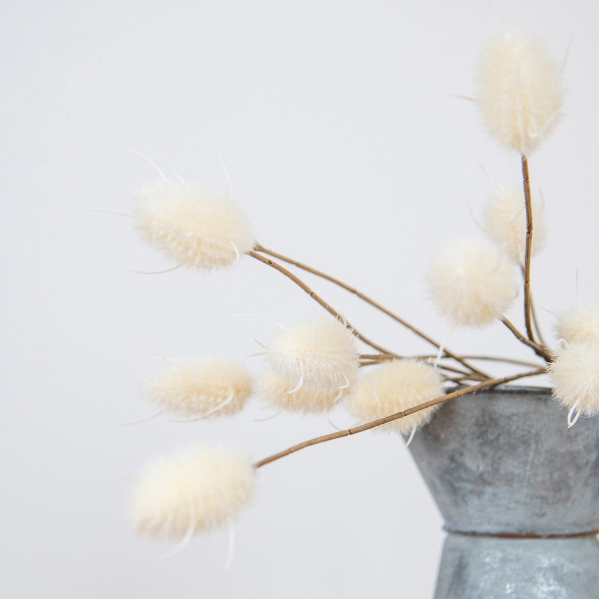 FS Hare Tail Cream GB 70cm.