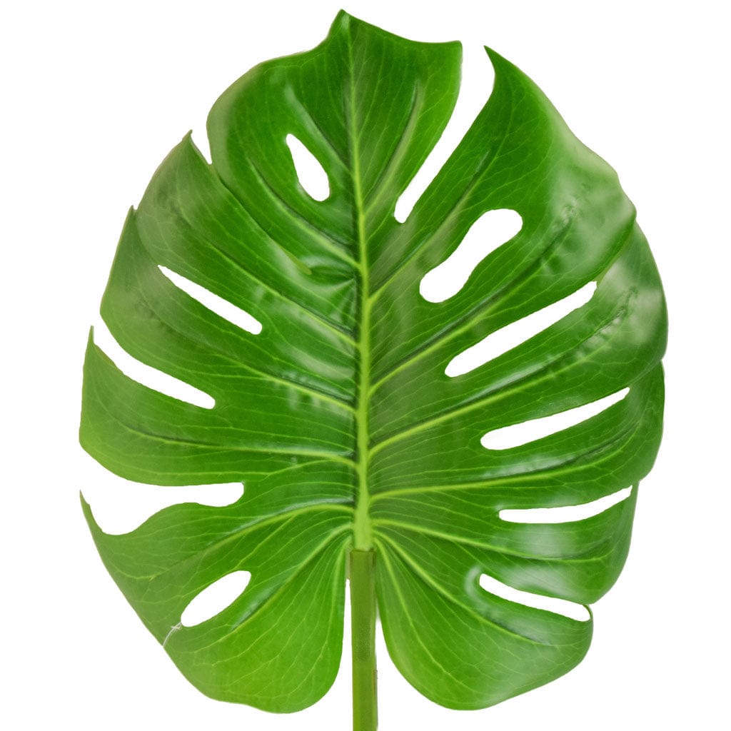 FS Leaf Giant Monstera Green GB 100cm.