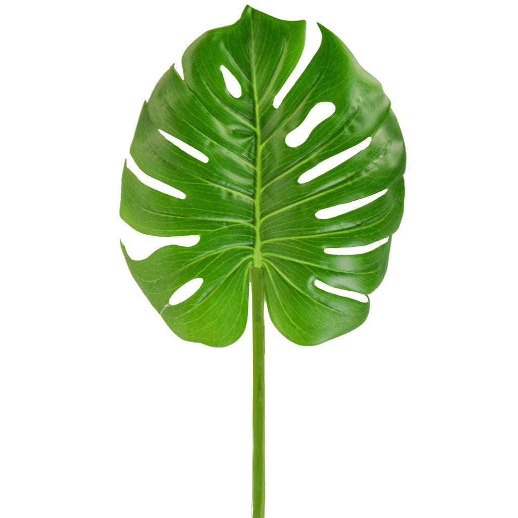 FS Leaf Giant Monstera Green GB 100cm.