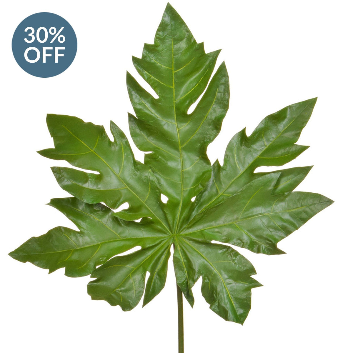 FS Leaf Papaya JA 105cm.