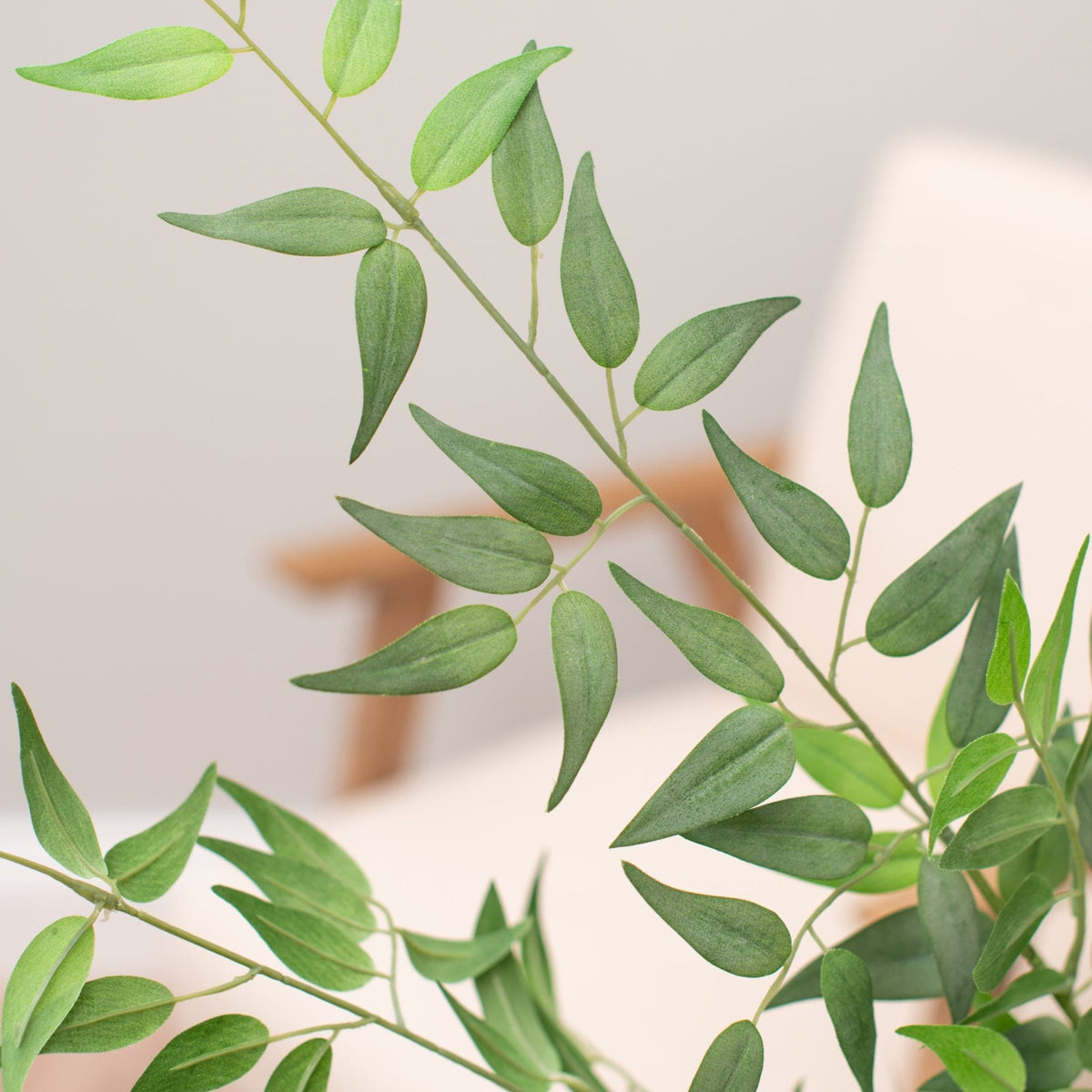 FS Ruscus Italian Grn 110cm.