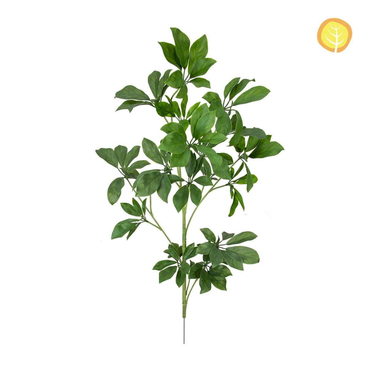 FS Schefflera Spray HL 90cm UV.