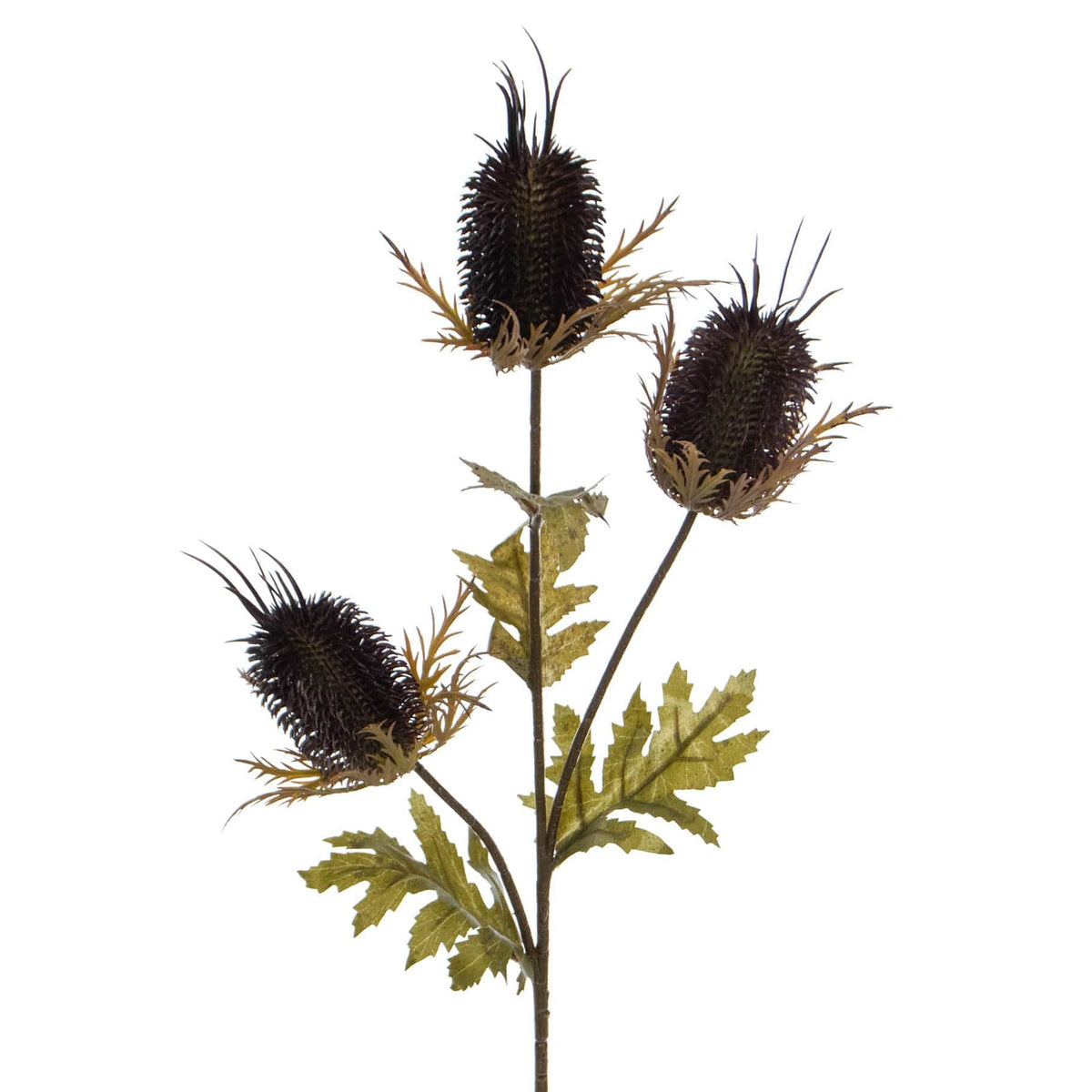 FS Thistle Spray Brown GB 68cm.