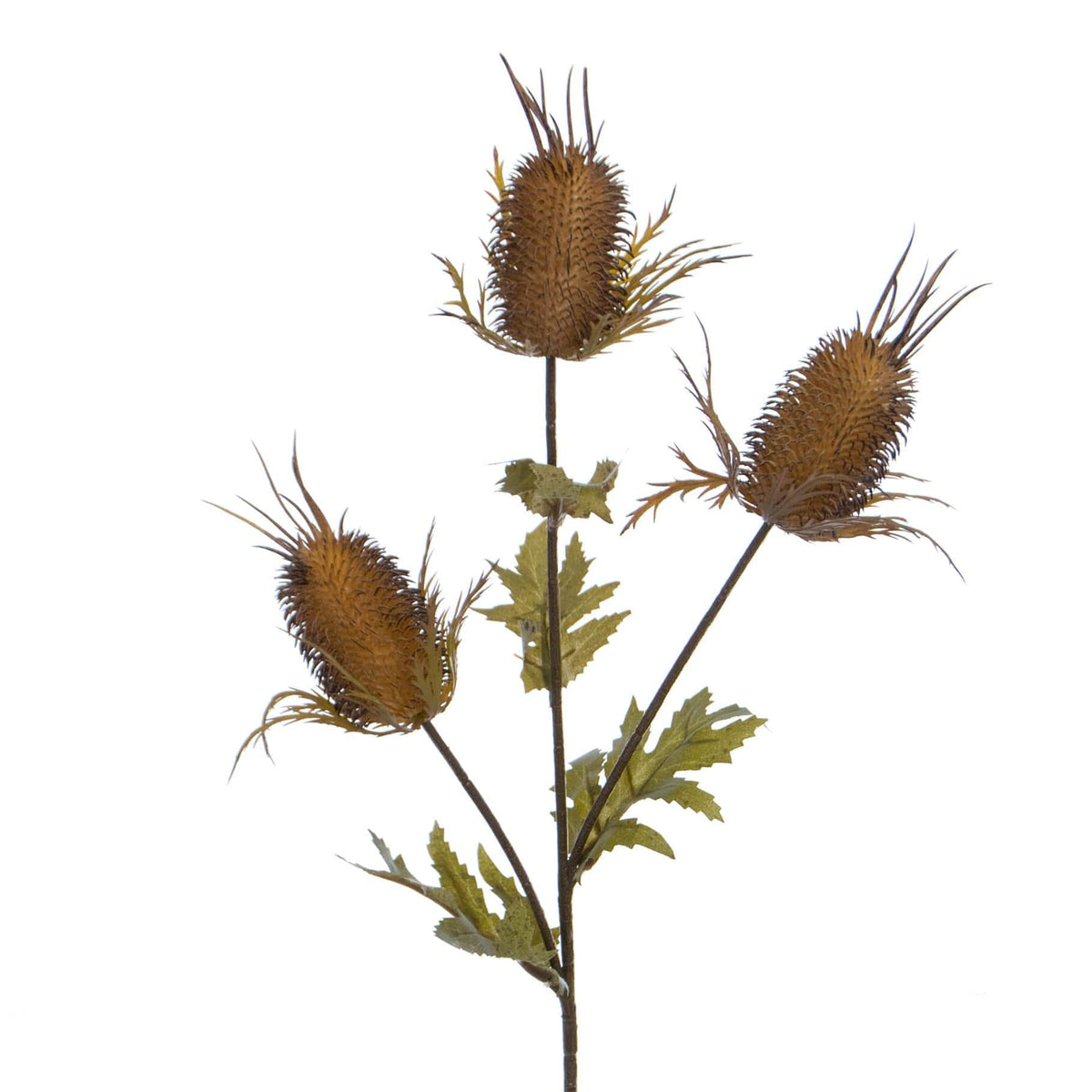 FS Thistle Spray Yellow/Brn GB 68cm.