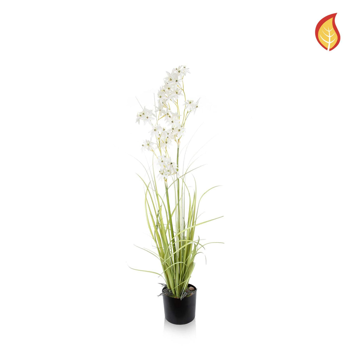 Grass Allium with Pot FR 110cm-S11.