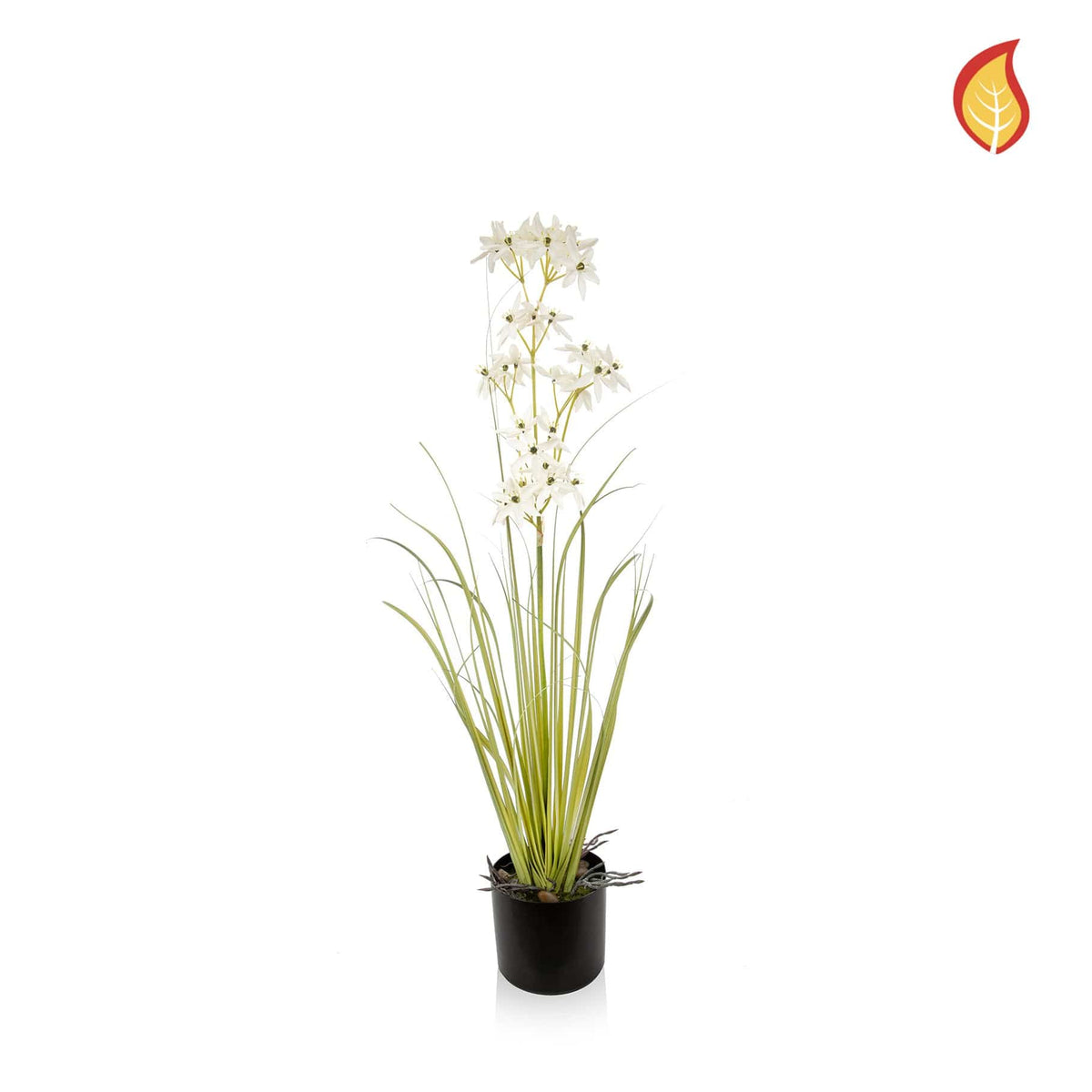 Grass Allium with Pot FR 87cm-S11.