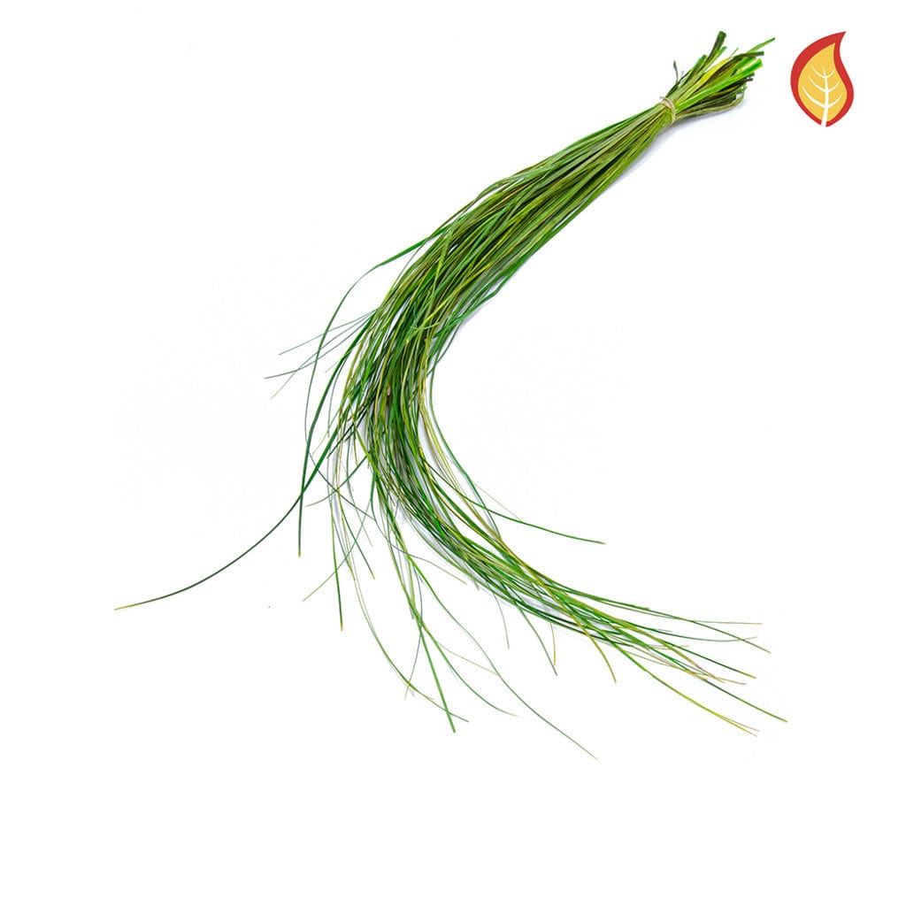 Grass Bear Green FR 60/65cm -S5.