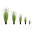 Grass Dogtail Grass C with pot 120cm FR-S2.