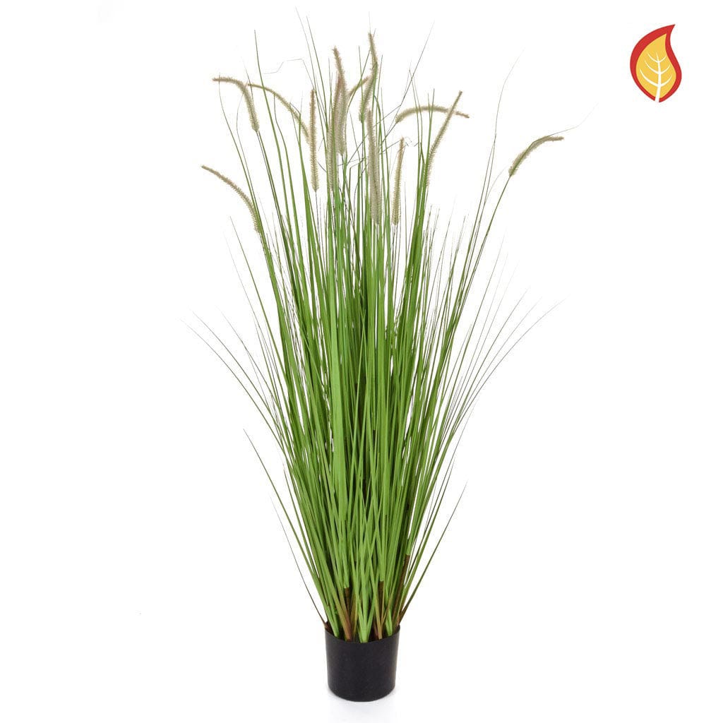 Grass Dogtail Grass D with pot 150cm FR-S2.