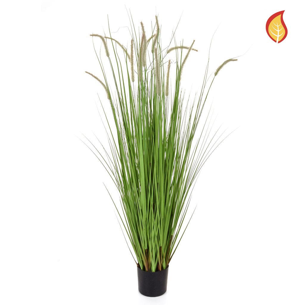 Grass Dogtail Grass E with pot 180cm FR-S2.