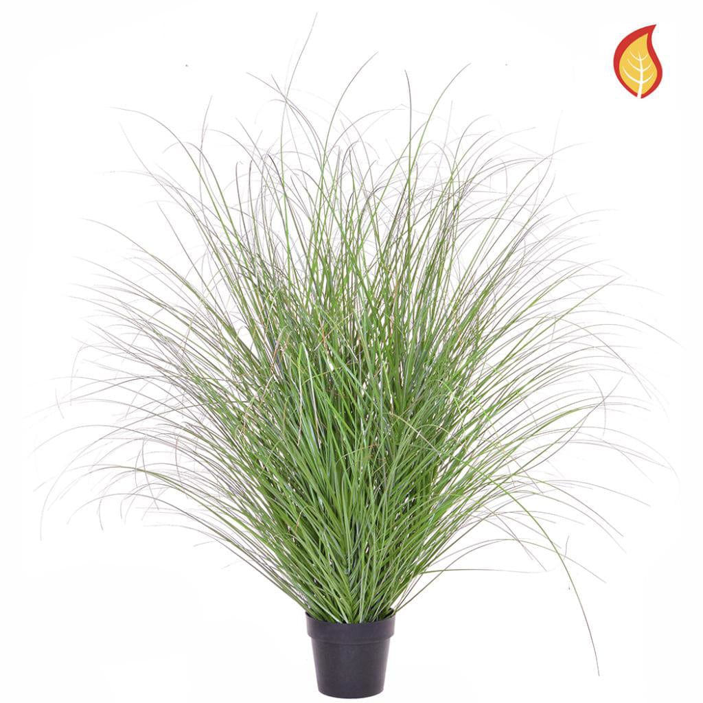 Grass Green/Red Tip in Pot 140cm FR-S3.